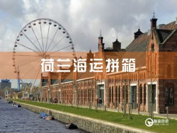 荷兰海运拼箱查询：深圳到荷兰海运拼箱查询